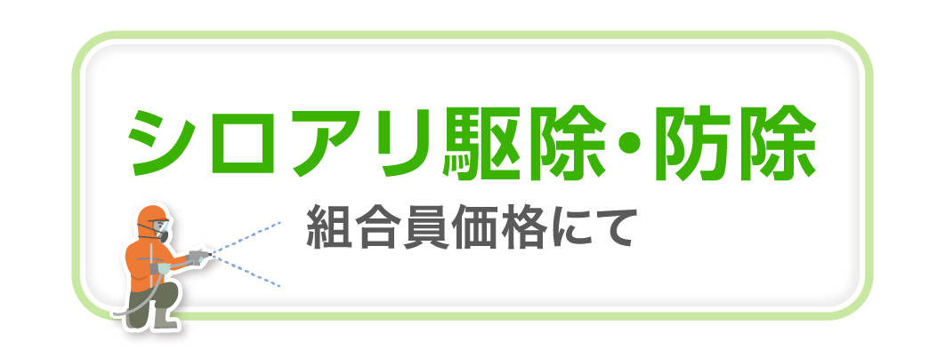 シロアリ駆除・防除